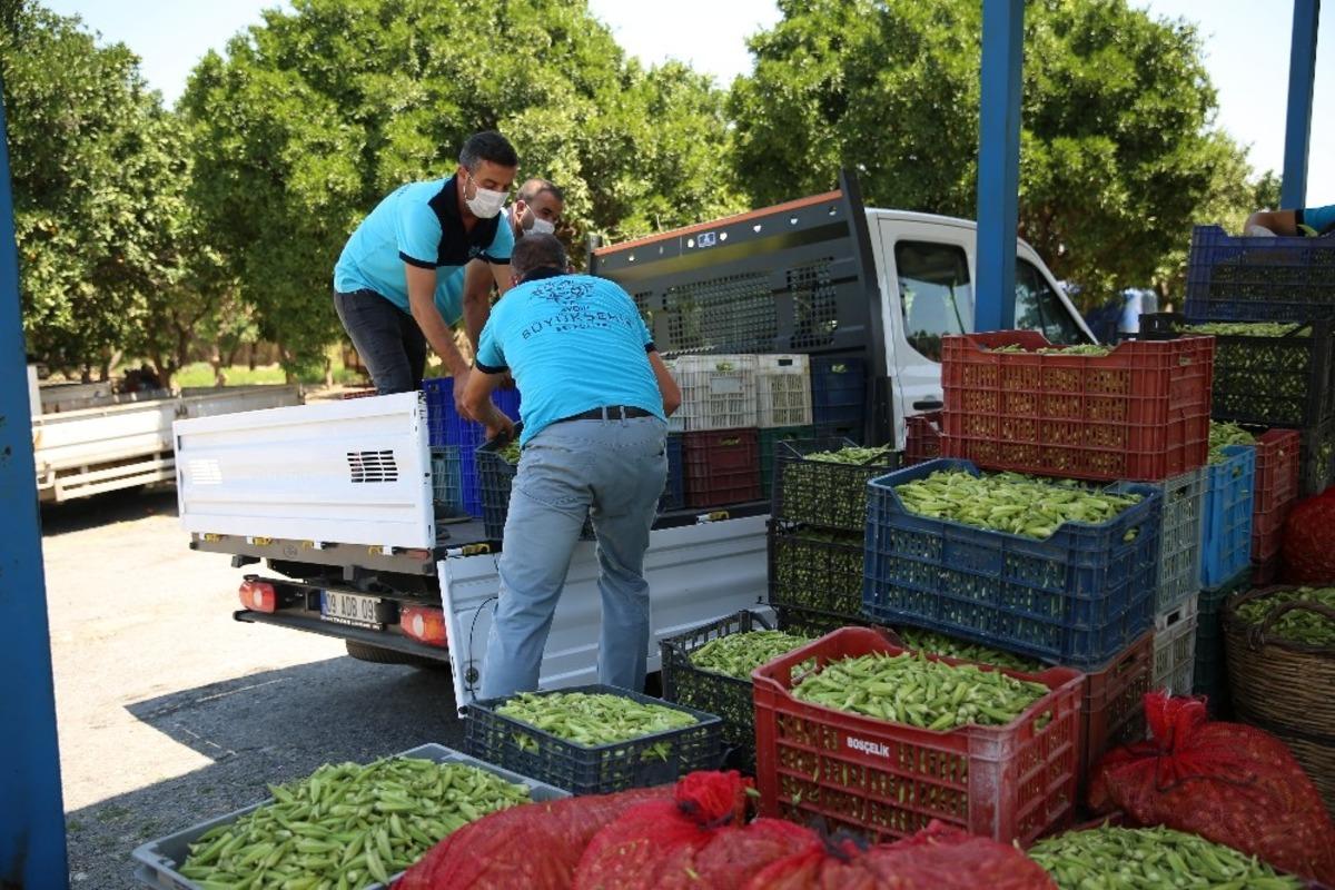 Bamya &uuml;reticisi Aydın B&uuml;y&uuml;kşehir ile mutlu