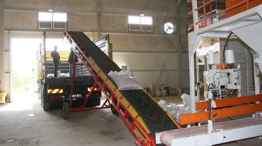 Tohum eleme tesisi tam kapasite olarak &ccedil;alışmalarına devam ediyor