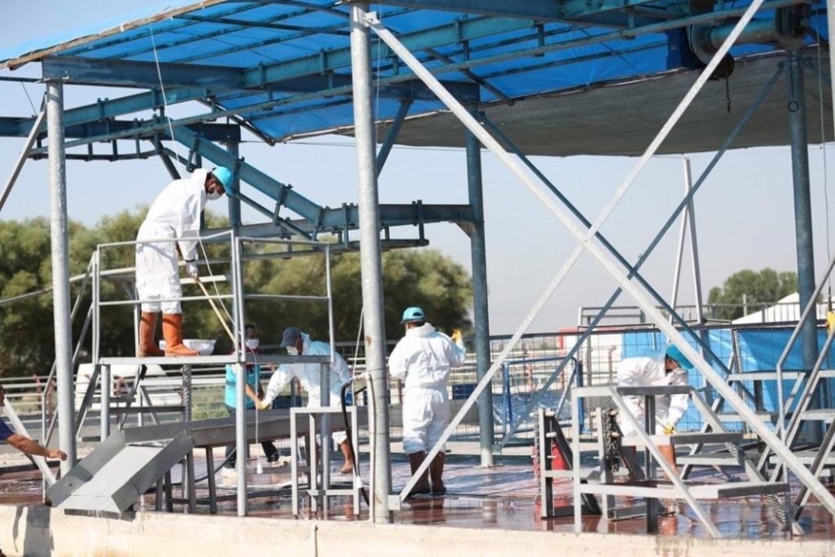 Kocasinan&rsquo;dan Kayseri&rsquo;de tek, T&uuml;rkiye&rsquo;ye &ouml;rnek olan profesyonel kurban hizmeti