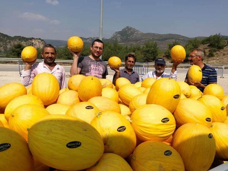Medetli kavunu Almanya pazarında G2