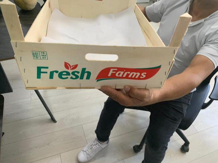 Medetli kavunu Almanya pazarında G3