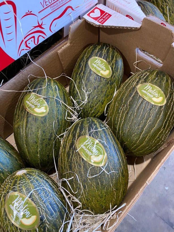 Medetli kavunu Almanya pazarında G4