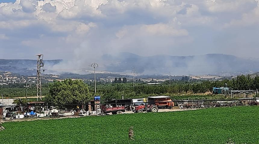 &Ccedil;anakkale'de orman yangını