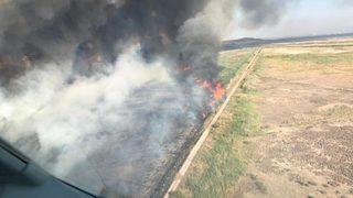 İzmir'in Balçova ilçesinde korkutan yangın