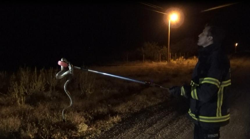 S&uuml;r&uuml;c&uuml;n&uuml;n yolda fark edip ezmek istemediği yılan aracın i&ccedil;ine girdi
