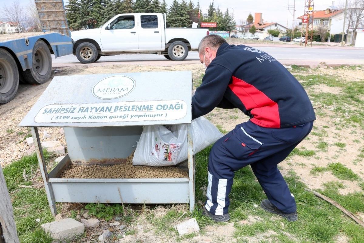 Başkan Kavuş: &ldquo;Sokak hayvanlarını bir an olsa bile ihmal etmiyoruz"
