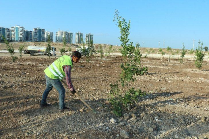 Kurtuluş ve Kuruluş Koruluğu bakımdan geçirildi G1
