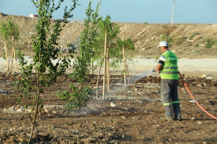 Kurtuluş ve Kuruluş Koruluğu bakımdan geçirildi G2