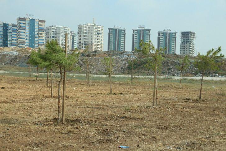 Kurtuluş ve Kuruluş Koruluğu bakımdan geçirildi G3