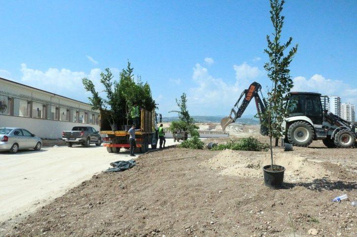 Kurtuluş ve Kuruluş Koruluğu bakımdan geçirildi G4