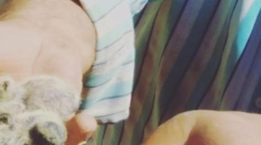 Alevler arasında kalan yavru g&uuml;vercinleri itfaiye kurtardı