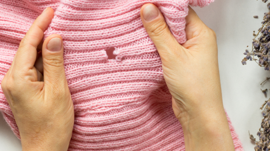 Eğer bunları yapmazsanız evinizi ve giysilerinizi g&uuml;veler istila edebilir! Korunmak i&ccedil;in...