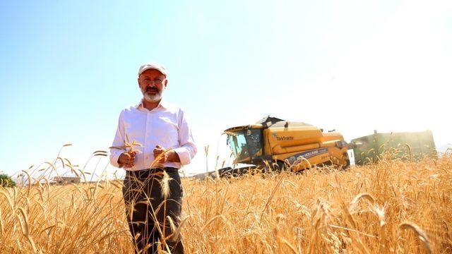 Kocasinan’da 10 bin yıllık Siyez Buğdayının hasadı yapıldı