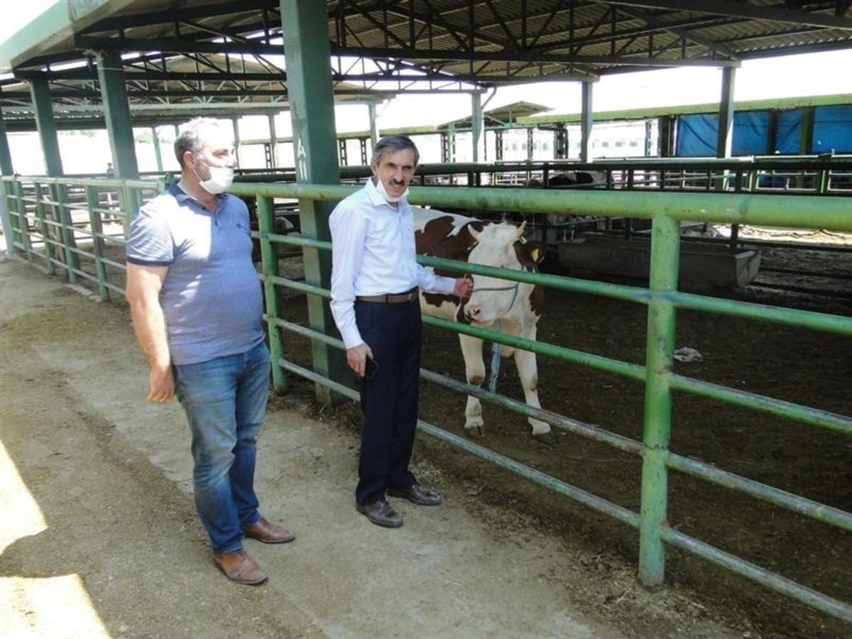 Kurban Bayramı &ouml;ncesinde hayvan pazarı denetlendi