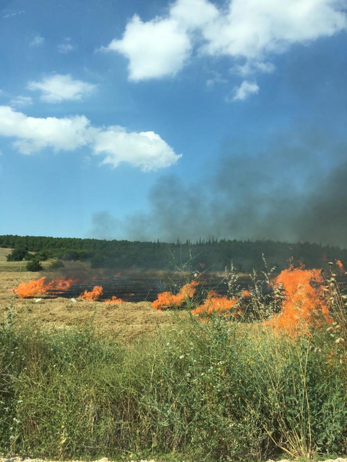 Anız yangınında 2 yılan telef oldu