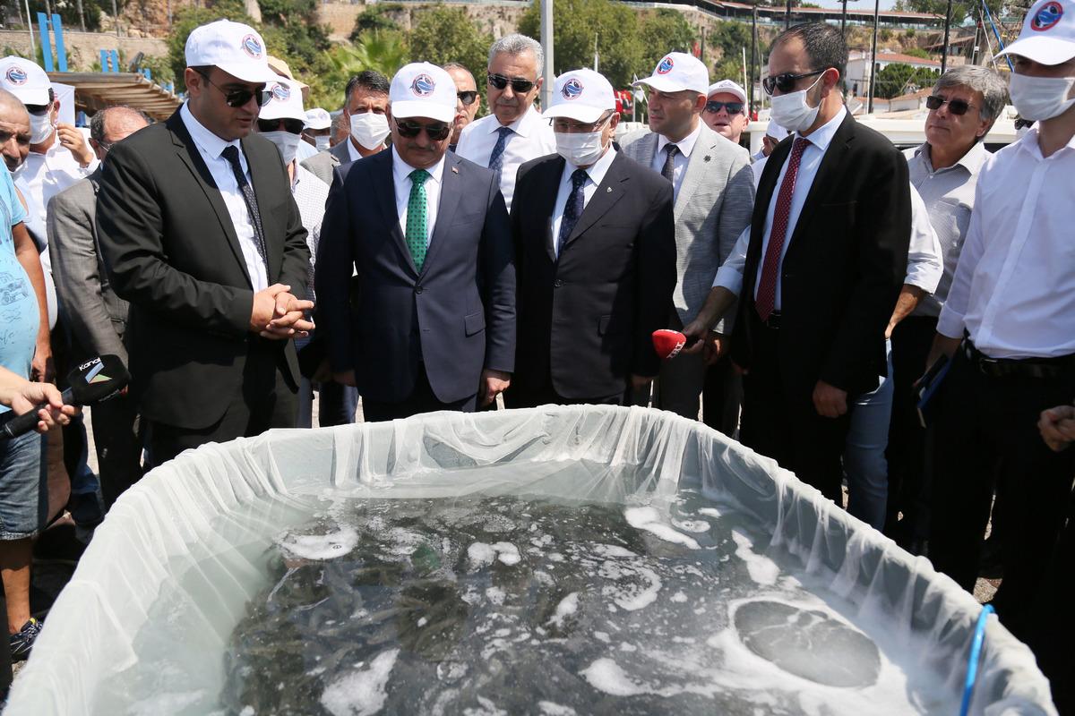 Zehirli balon ve aslan balıklarının biyolojisi &ccedil;&ouml;z&uuml;l&uuml;yor