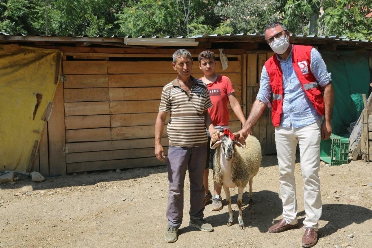 Kızılay&rsquo;ın &ccedil;alışmasını g&ouml;r&uuml;nce koyununu bağışladı