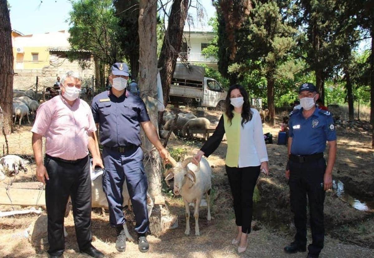 Denizli&rsquo;nin &Ccedil;al il&ccedil;esinde kurban satış yerleri denetlendi