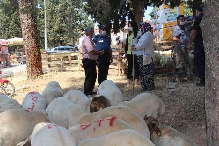 Denizli’nin Çal ilçesinde kurban satış yerleri denetlendi G3
