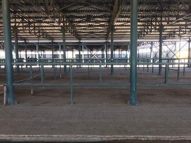 Hayvan pazarı boş kaldı G2