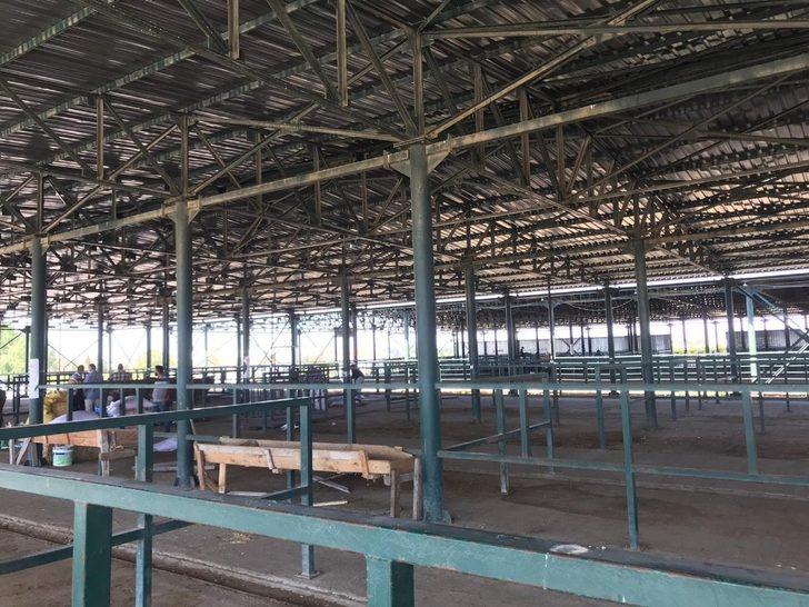 Hayvan pazarı boş kaldı G3