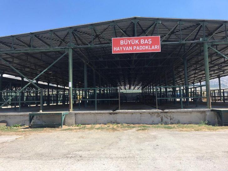 Hayvan pazarı boş kaldı G4