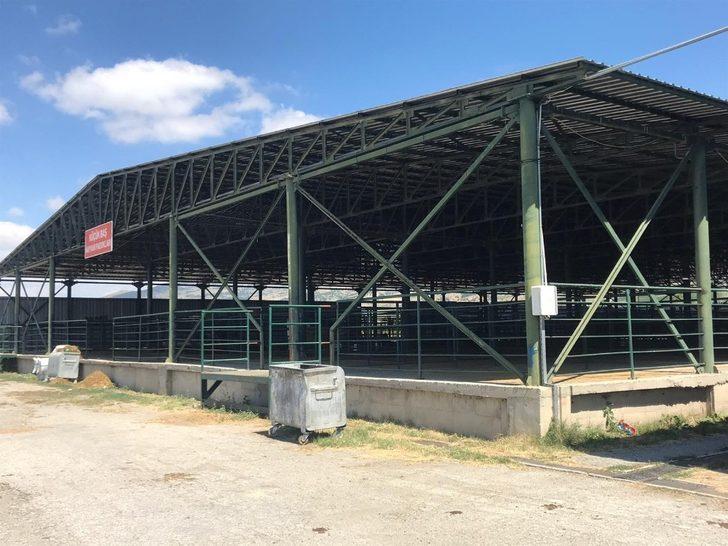 Hayvan pazarı boş kaldı G5