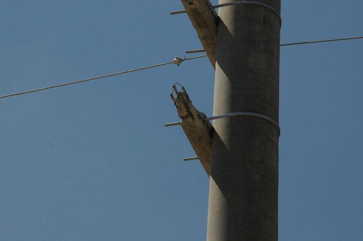 Yola düşen sokak lambası tehlike oluşturdu G3