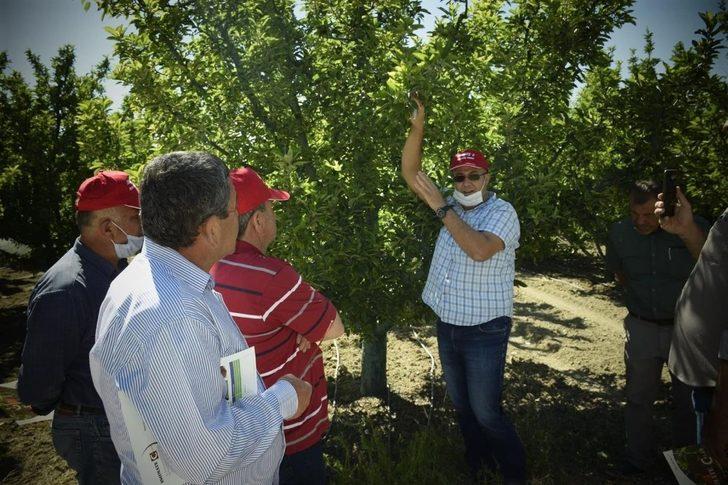 Elmalı’ya 212 dekar organik elma bahçesi G3