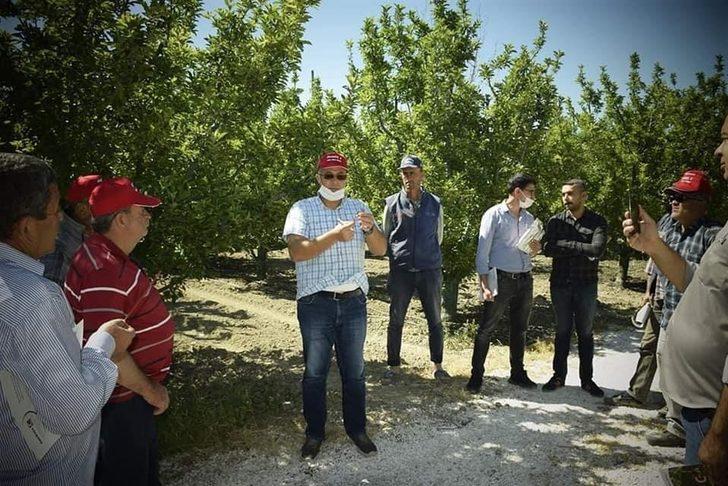 Elmalı’ya 212 dekar organik elma bahçesi G4