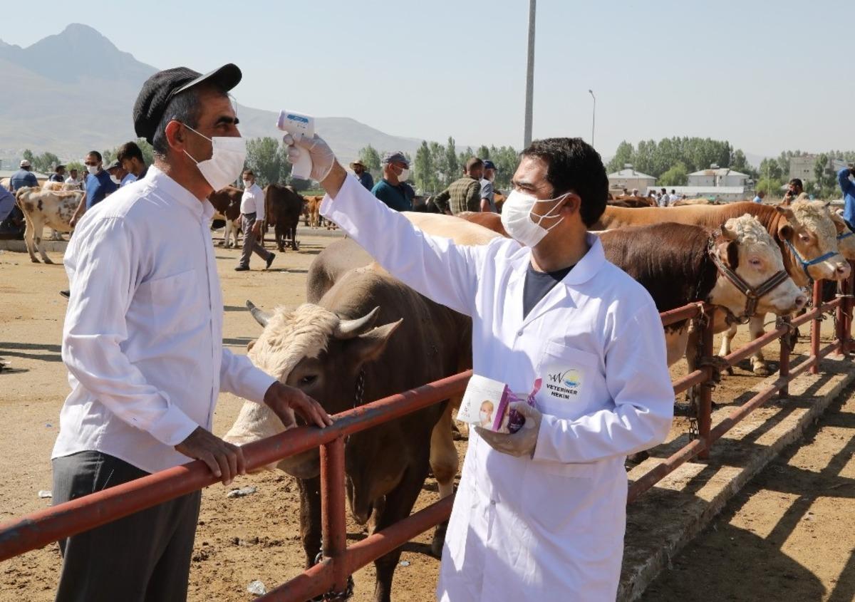 Van B&uuml;y&uuml;kşehir Belediyesi kurbanlık denetimlerini artırdı