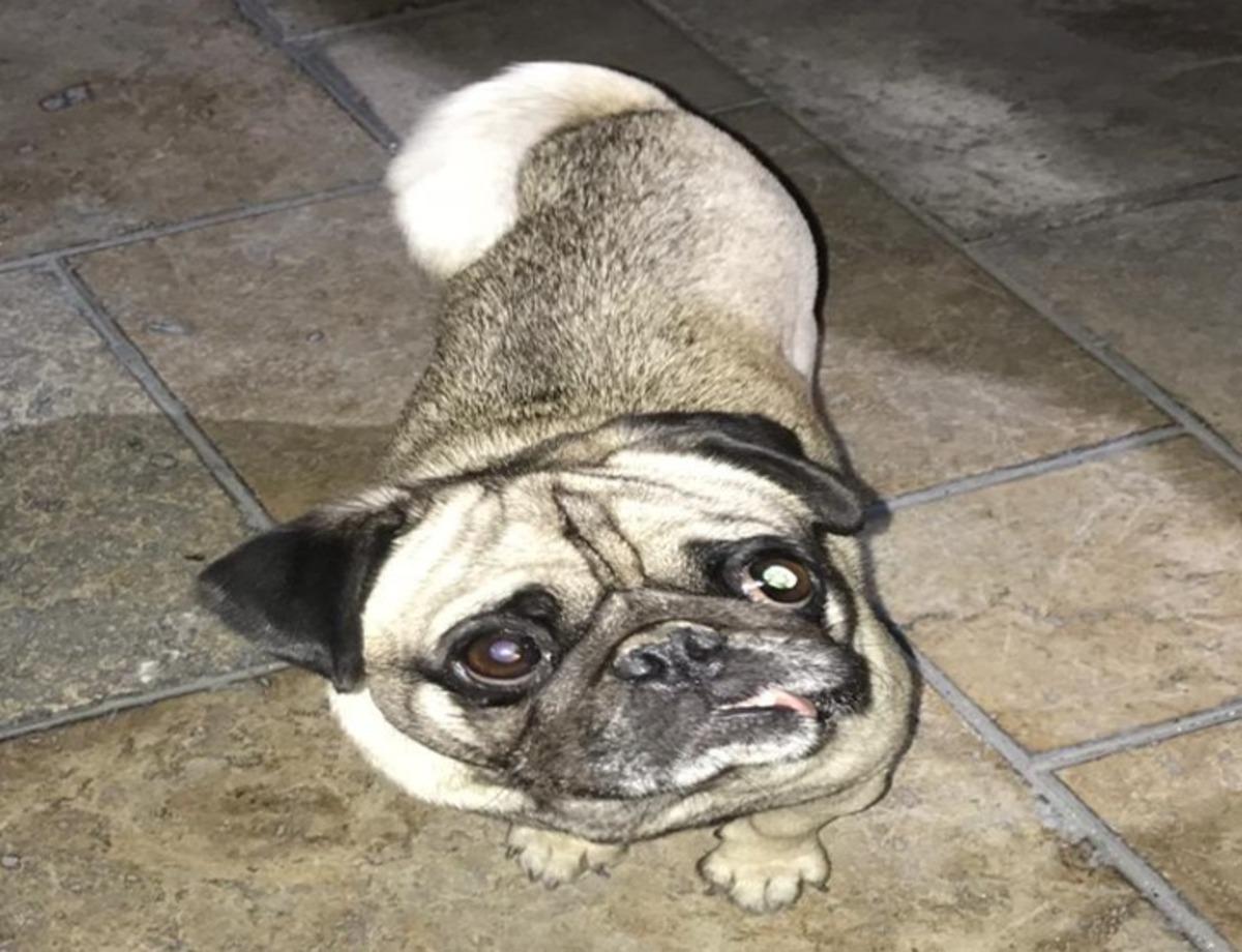 Denizli&rsquo;de 610 farklı asayiş olayında 380 ş&uuml;pheli g&ouml;zaltına alındı