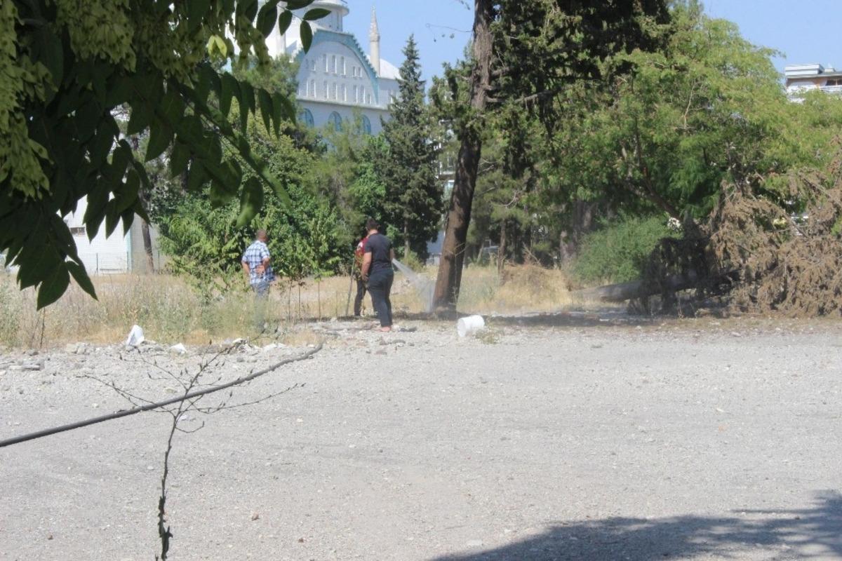 Eski hastane bah&ccedil;esindeki ağa&ccedil; alev aldı