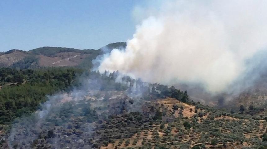 Milas&rsquo;taki yangın kontrol altına alındı