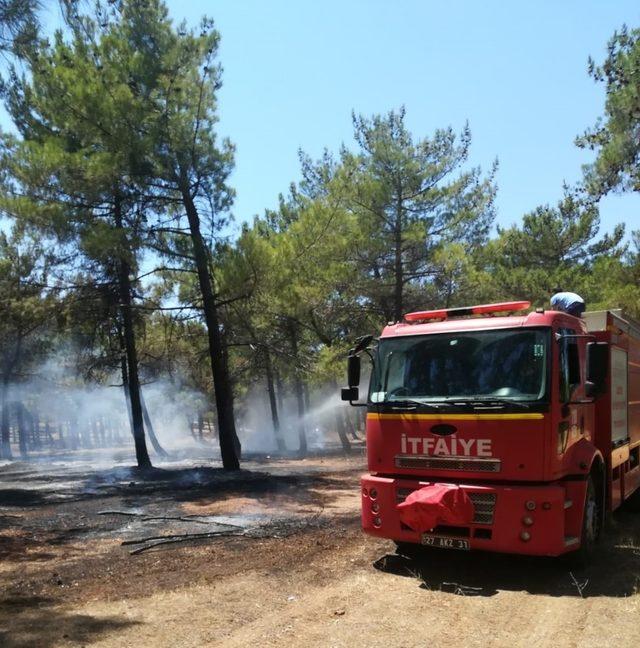 Örtü yangını ağaçlara sıçramadan söndürüldü