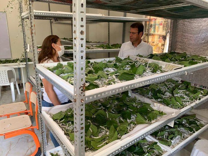 Eryılmaz: "İpek böcekçiliği yapmak isteyenlere kapımızı açacağız" G1