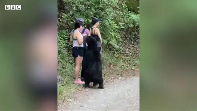 Yürüyüşte karşısına çıkan ayıyla selfie çekti