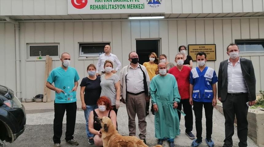 Artvin&rsquo;de sokak hayvanlarını kısırlaştırılıyor