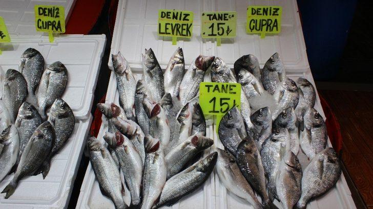 Tezgahlar balıksız kalmıyor G4