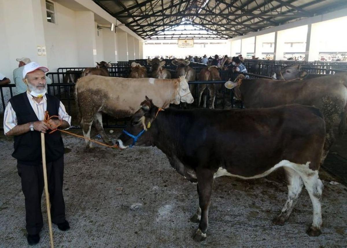 Bayburt&rsquo;ta kurbanlıklar pazara indi