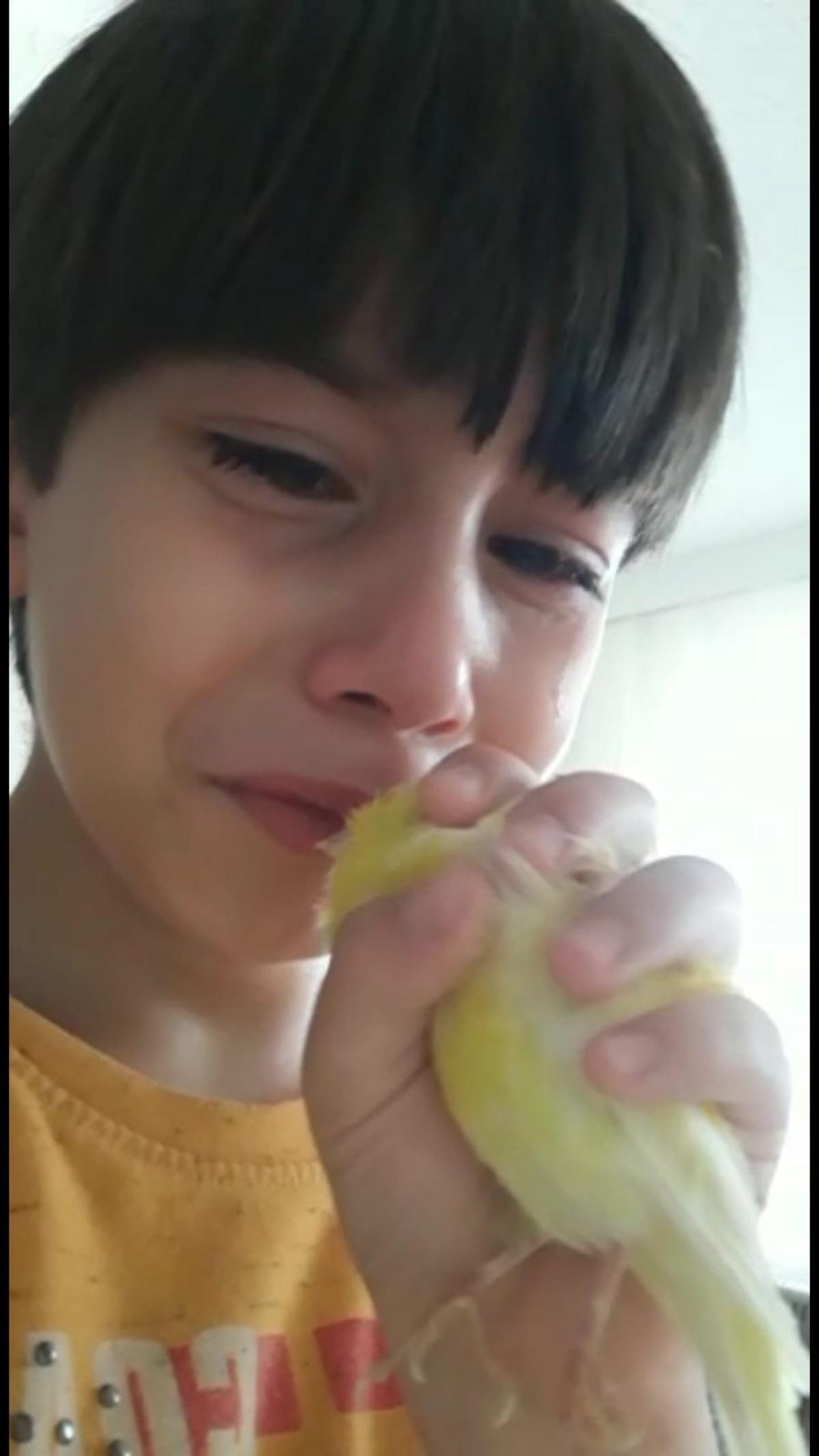 Can'ın muhabbet kuşu Limon'a son vedası herkesi ağlattı