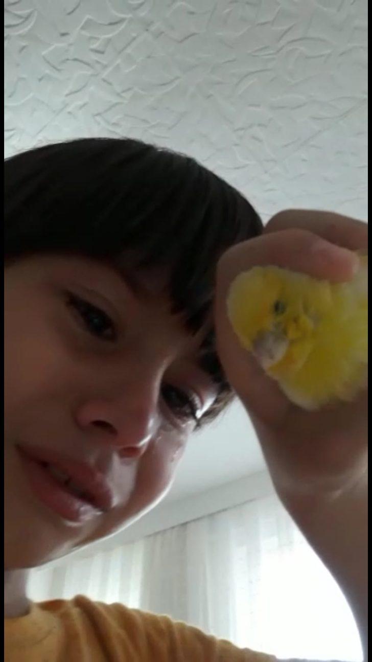 Can'ın muhabbet kuşu Limon'a son vedası herkesi ağlattı G2