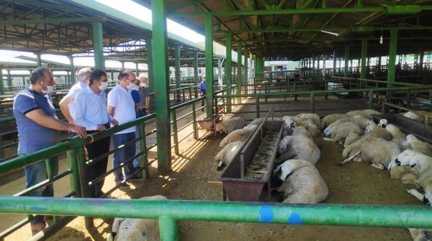 Kurban piyasasında covid 19 gölgesi