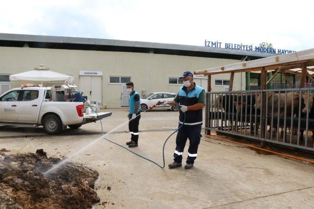 Kurban satış yerleri ilaçlanıyor