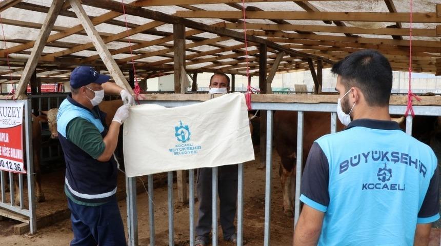 Kurban satış yerleri ilaçlanıyor