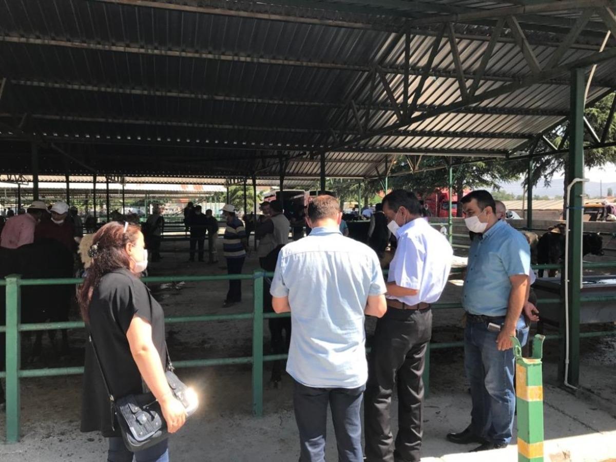 Isparta&rsquo;da hayvan pazarlarında denetimler arttırıldı