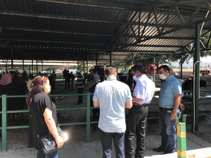 Isparta’da hayvan pazarlarında denetimler arttırıldı G1