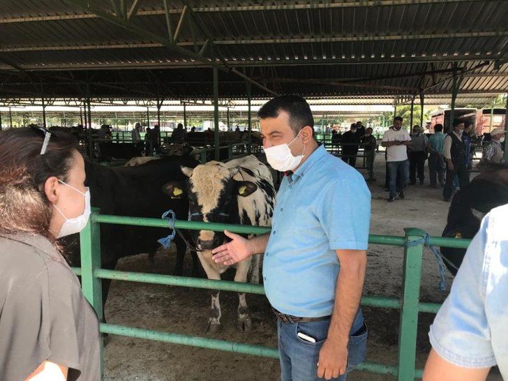 Isparta’da hayvan pazarlarında denetimler arttırıldı G2