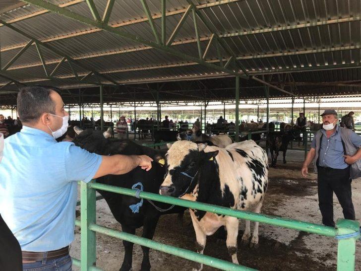 Isparta’da hayvan pazarlarında denetimler arttırıldı G3