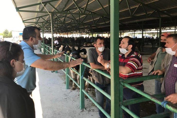 Isparta’da hayvan pazarlarında denetimler arttırıldı G4